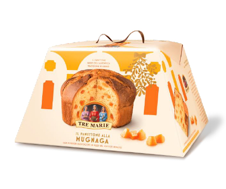 IL PANETTONE ALLA MUGNAGA